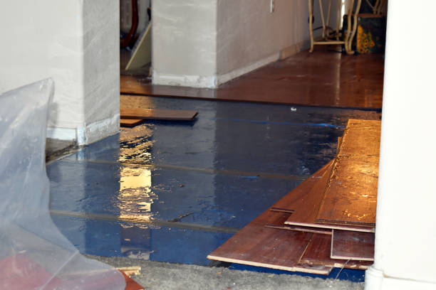 Professional Water Damage Restoration technician working in Stanley, VA